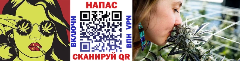МАРИХУАНА план Купить где Волгореченск